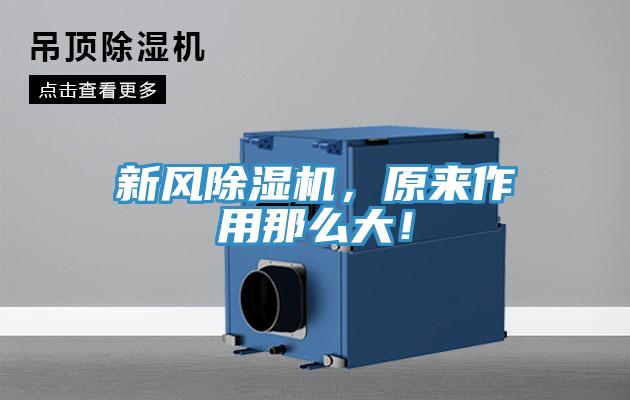 新風(fēng)除濕機(jī)，原來(lái)作用那么大！