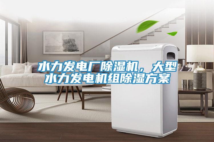 水力發(fā)電廠除濕機(jī)，大型水力發(fā)電機(jī)組除濕方案