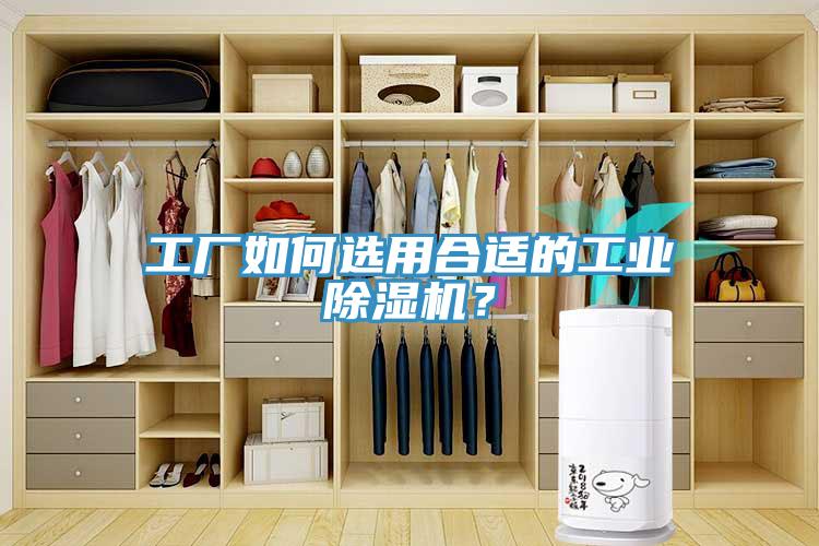 工廠如何選用合適的工業(yè)除濕機(jī)？