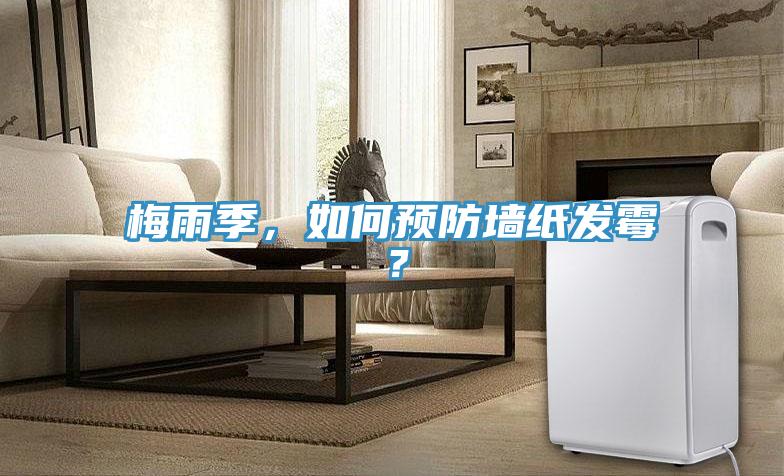 梅雨季，如何預(yù)防墻紙發(fā)霉？