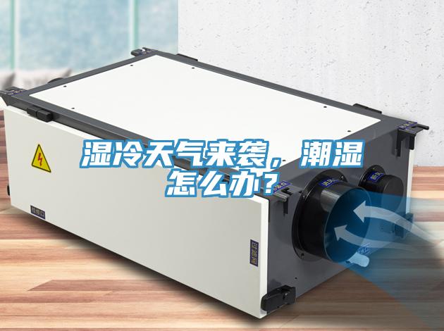 濕冷天氣來襲，潮濕怎么辦？