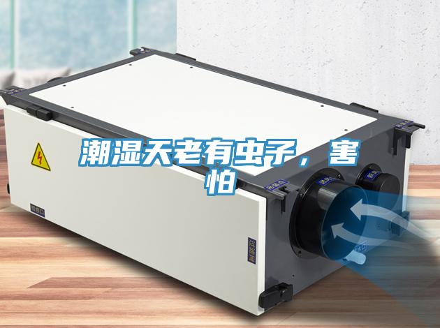 潮濕天老有蟲子，害怕
