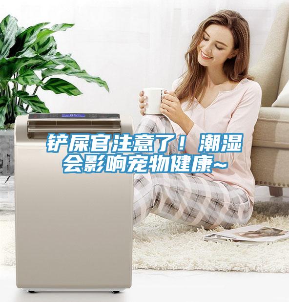 鏟屎官注意了！潮濕會(huì)影響寵物健康~