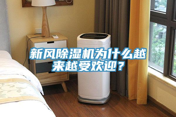 新風(fēng)除濕機(jī)為什么越來(lái)越受歡迎？