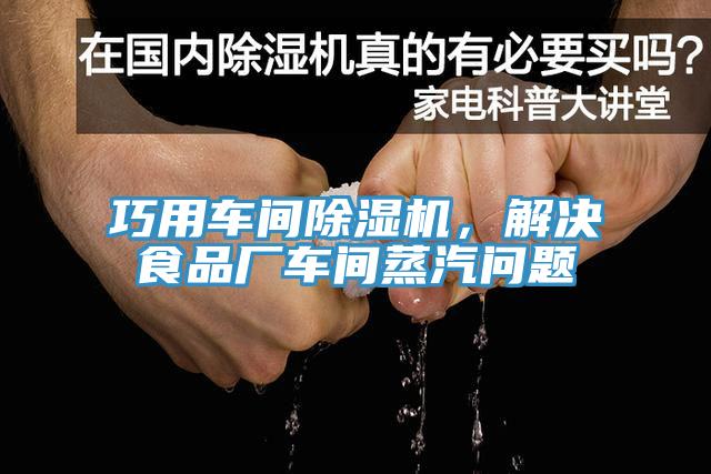 巧用車間除濕機，解決食品廠車間蒸汽問題
