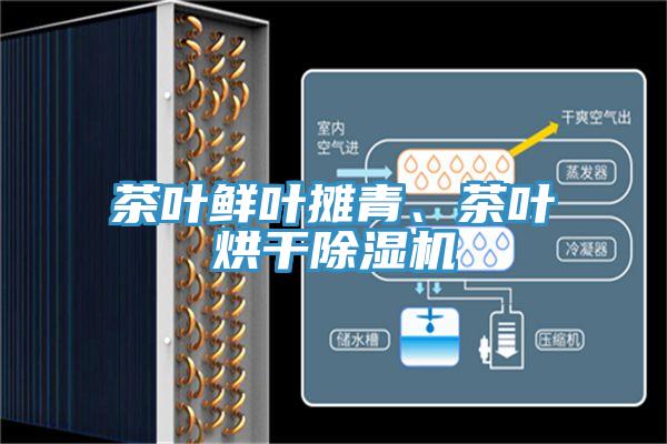 茶葉鮮葉攤青、茶葉烘干除濕機(jī)