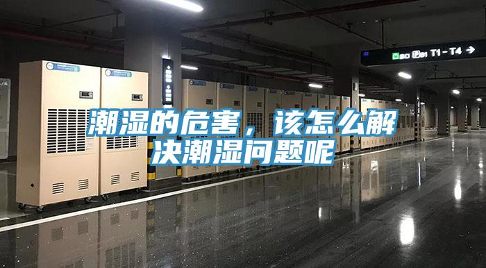 潮濕的危害，該怎么解決潮濕問題呢