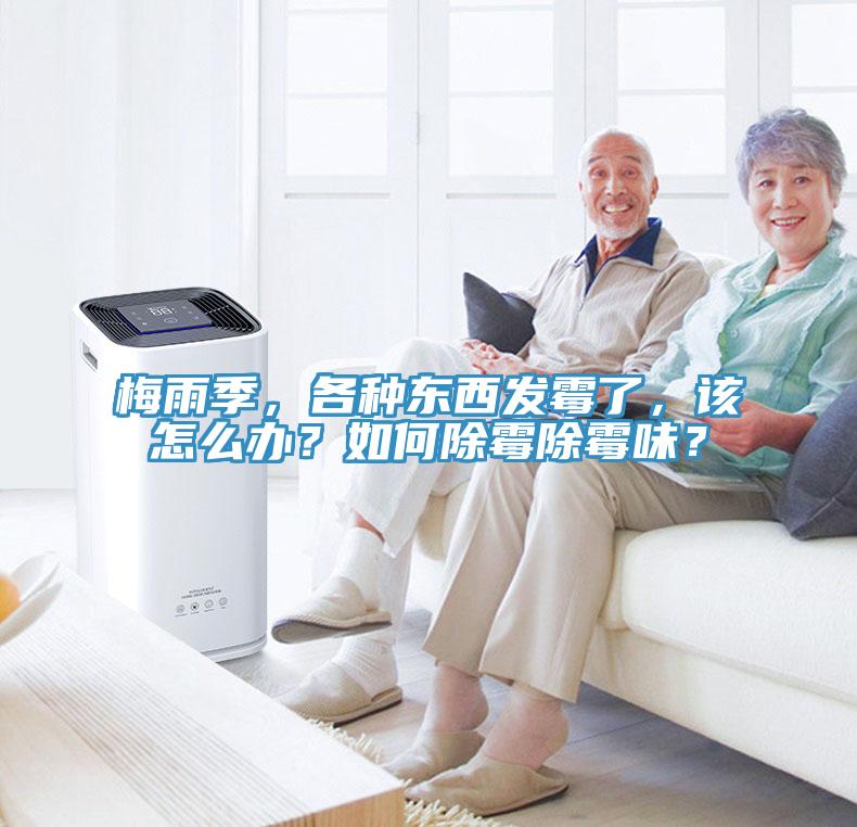 梅雨季，各種東西發(fā)霉了，該怎么辦？如何除霉除霉味？
