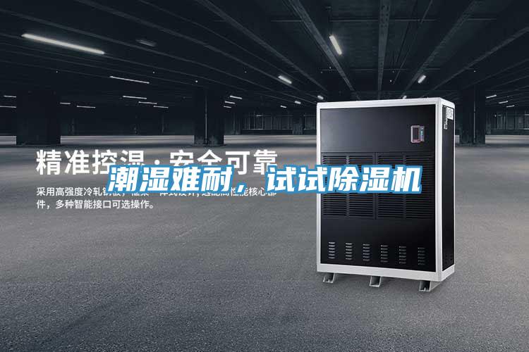 潮濕難耐，試試除濕機