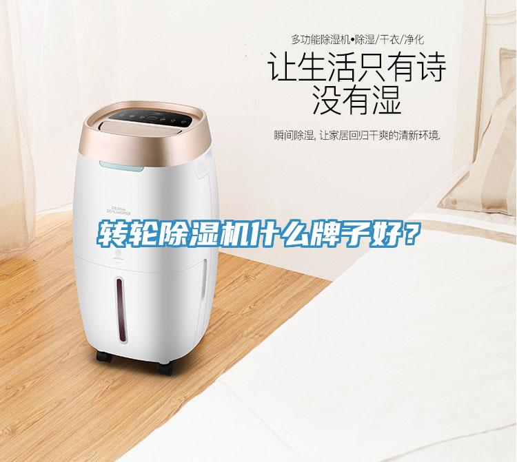轉(zhuǎn)輪除濕機(jī)什么牌子好？