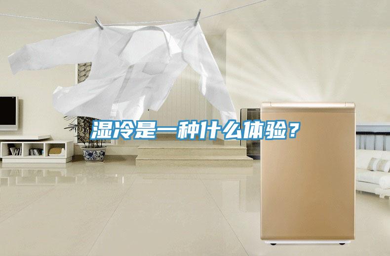濕冷是一種什么體驗？