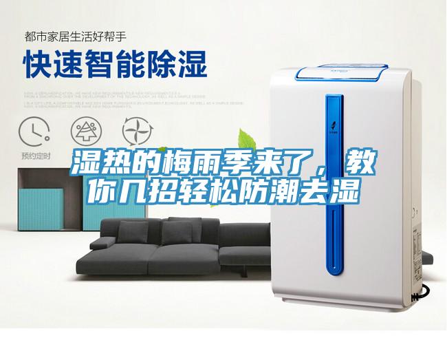 濕熱的梅雨季來了，教你幾招輕松防潮去濕