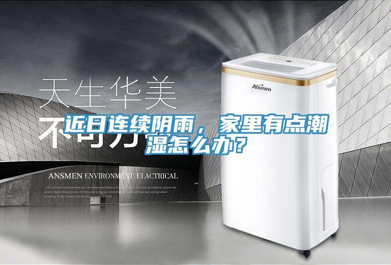 近日連續(xù)陰雨，家里有點潮濕怎么辦？