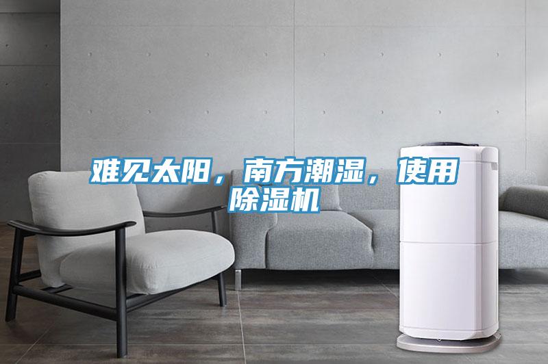 難見太陽，南方潮濕，使用除濕機(jī)