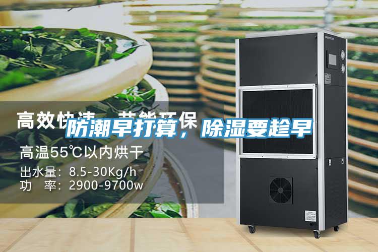 防潮早打算，除濕要趁早