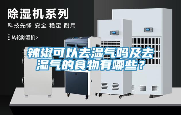 辣椒可以去濕氣嗎及去濕氣的食物有哪些？