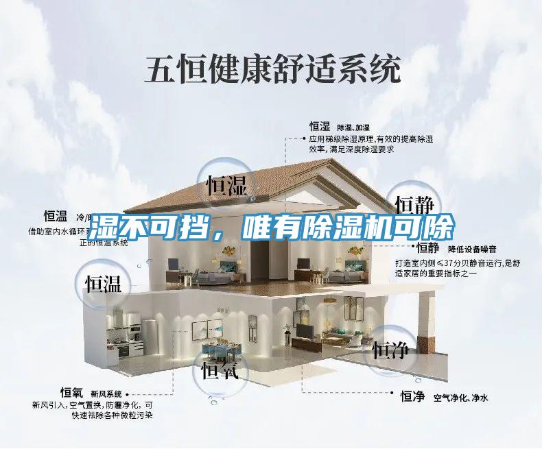 濕不可擋，唯有除濕機可除