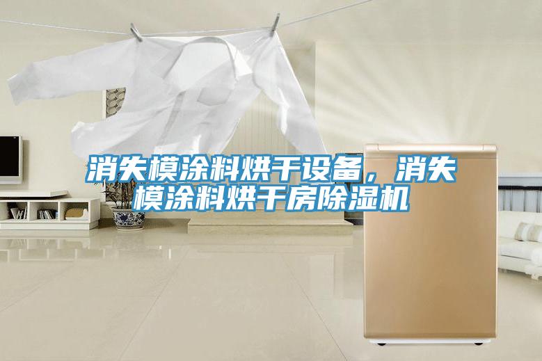 消失模涂料烘干設(shè)備，消失模涂料烘干房除濕機(jī)