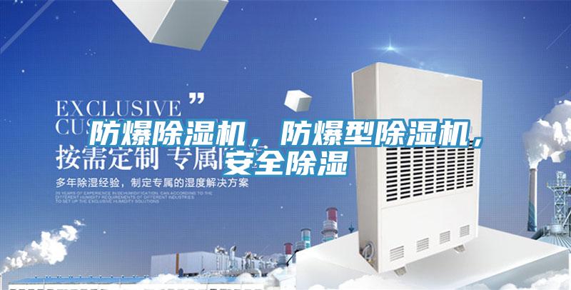 防爆除濕機(jī)，防爆型除濕機(jī)，安全除濕