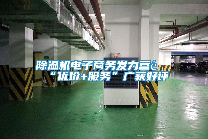 除濕機(jī)電子商務(wù)發(fā)力營銷“優(yōu)價(jià)+服務(wù)”廣獲好評(píng)