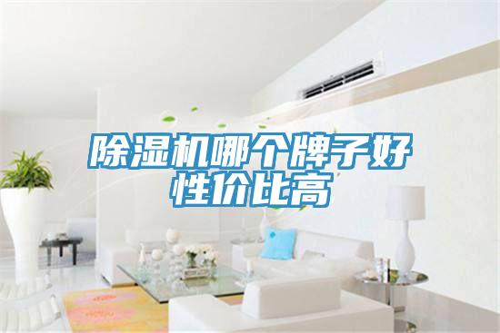 除濕機(jī)哪個(gè)牌子好性?xún)r(jià)比高