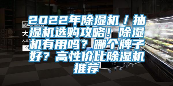 2022年除濕機(jī)／抽濕機(jī)選購攻略！除濕機(jī)有用嗎？哪個(gè)牌子好？高性價(jià)比除濕機(jī)推薦