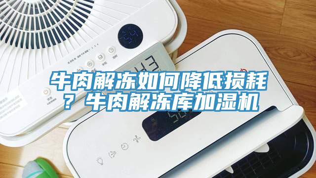 牛肉解凍如何降低損耗？牛肉解凍庫加濕機