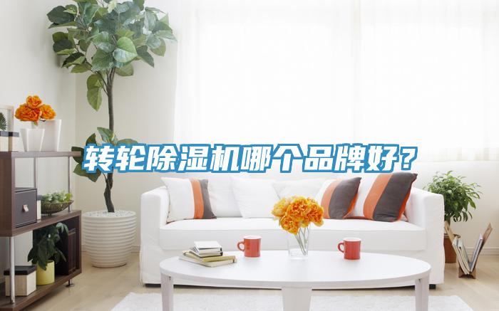 轉(zhuǎn)輪除濕機(jī)哪個(gè)品牌好？