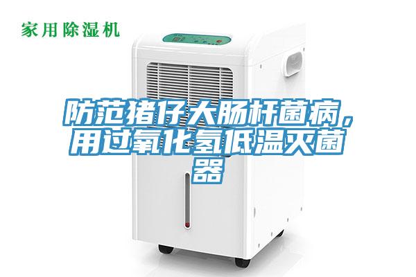 防范豬仔大腸桿菌病，用過氧化氫低溫滅菌器