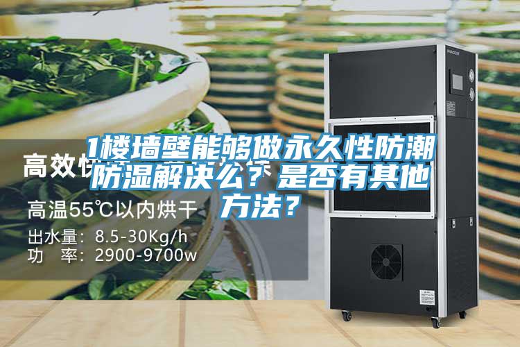 1樓墻壁能夠做永久性防潮防濕解決么？是否有其他方法？