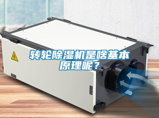 轉輪除濕機是啥基本原理呢？