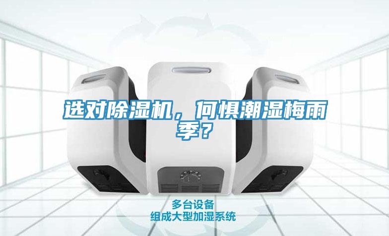 選對除濕機，何懼潮濕梅雨季？