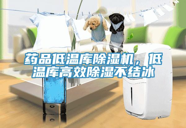 藥品低溫庫除濕機(jī)，低溫庫高效除濕不結(jié)冰