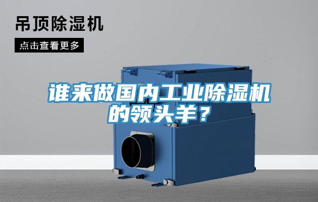 誰(shuí)來(lái)做國(guó)內(nèi)工業(yè)除濕機(jī)的領(lǐng)頭羊？