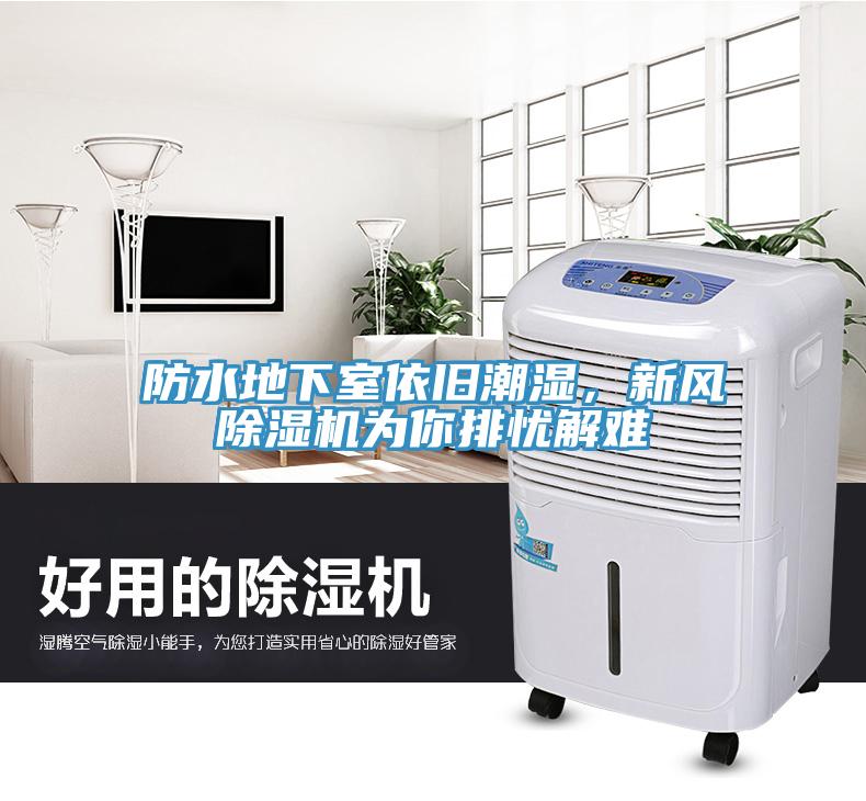 防水地下室依舊潮濕，新風(fēng)除濕機(jī)為你排憂解難