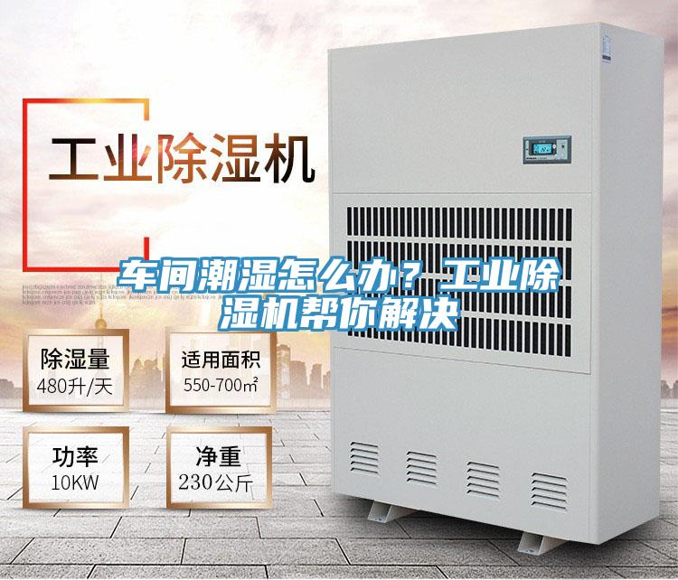 車間潮濕怎么辦？工業除濕機幫你解決