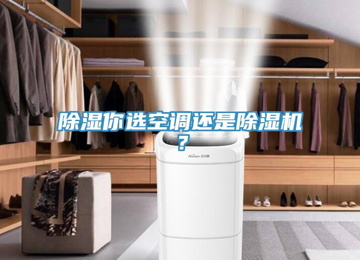 除濕你選空調(diào)還是除濕機？