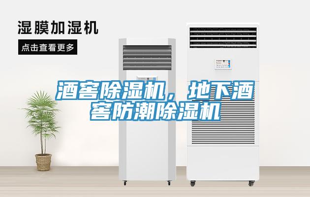 酒窖除濕機，地下酒窖防潮除濕機
