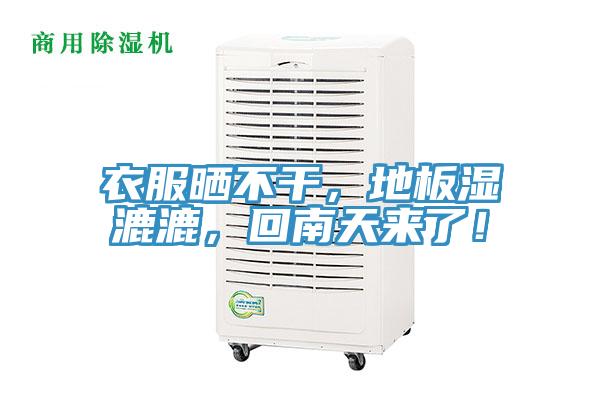 衣服曬不干，地板濕漉漉，回南天來了！