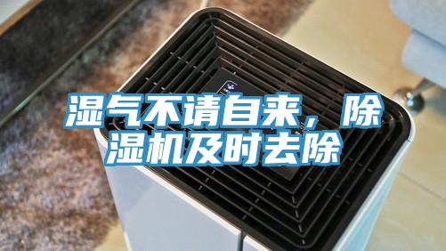 濕氣不請自來，除濕機及時去除