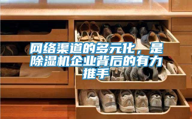網(wǎng)絡(luò)渠道的多元化，是除濕機(jī)企業(yè)背后的有力推手