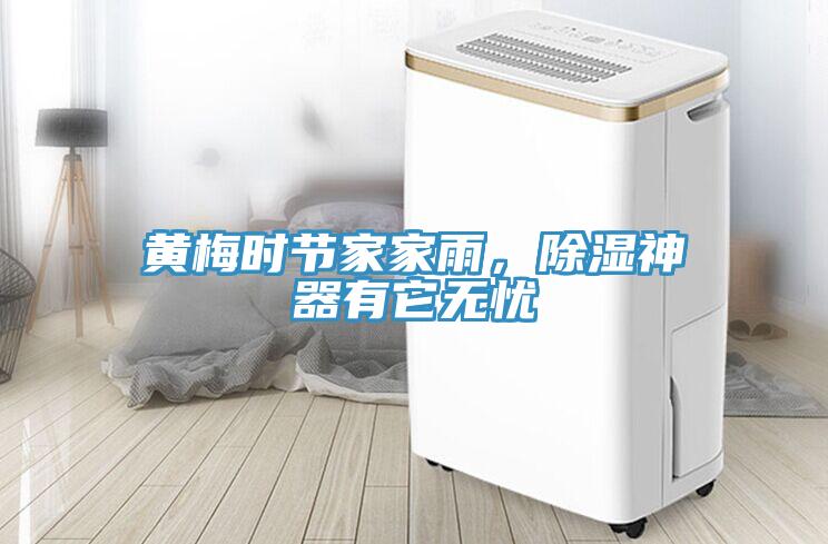 黃梅時節家家雨，除濕神器有它無憂