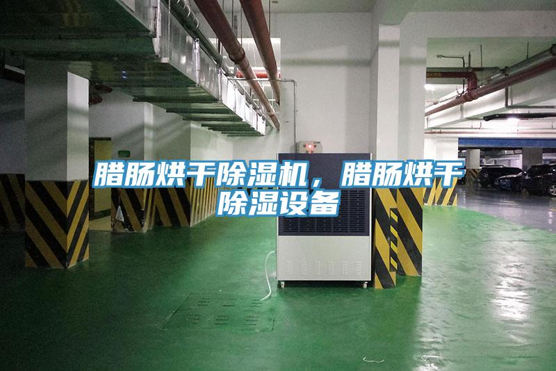 臘腸烘干除濕機，臘腸烘干除濕設備