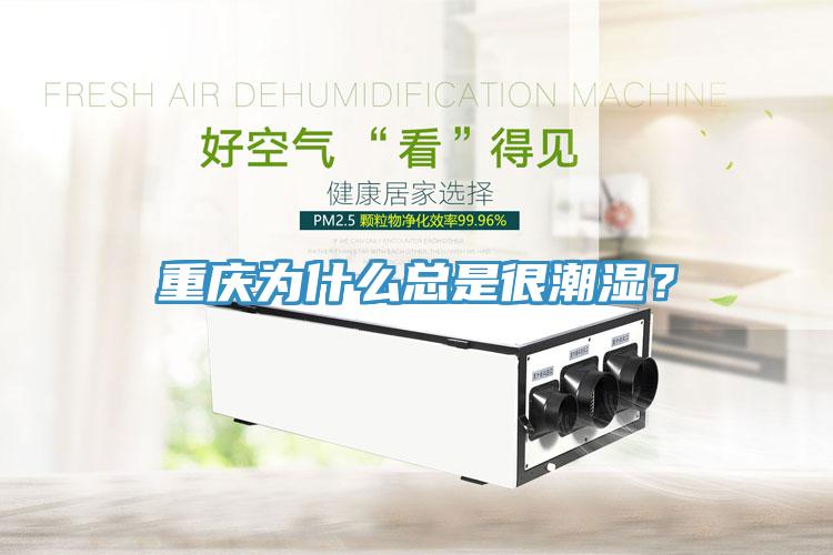 重慶為什么總是很潮濕？