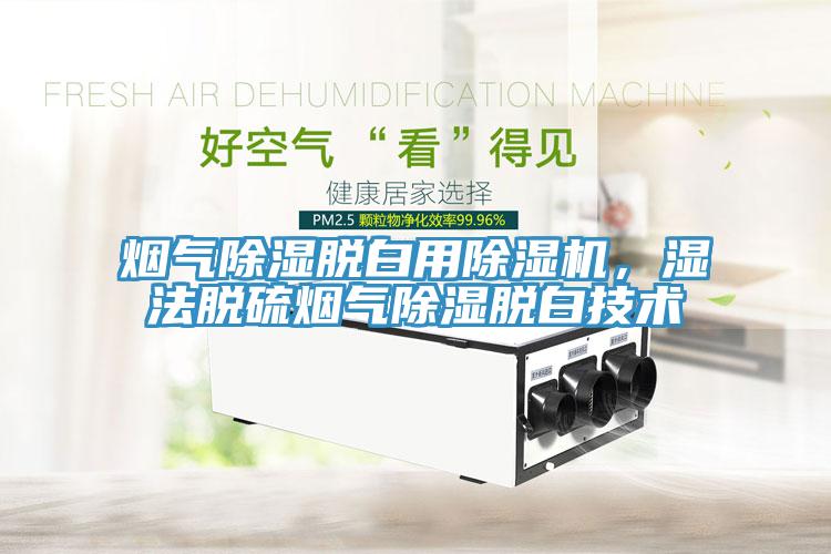 煙氣除濕脫白用除濕機，濕法脫硫煙氣除濕脫白技術(shù)