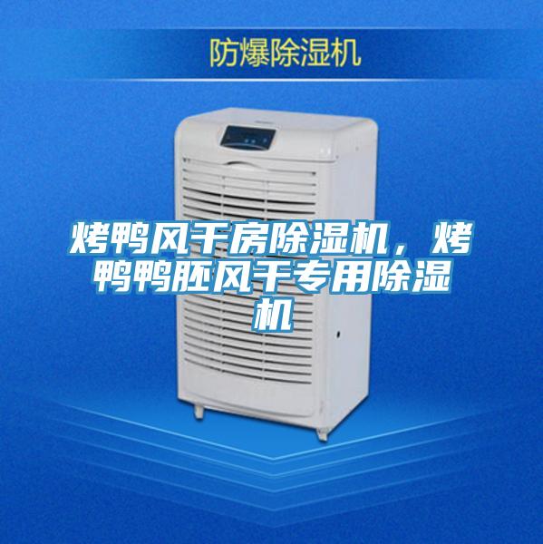 烤鴨風(fēng)干房除濕機(jī)，烤鴨鴨胚風(fēng)干專用除濕機(jī)