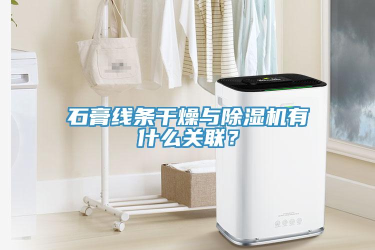 石膏線條干燥與除濕機(jī)有什么關(guān)聯(lián)？