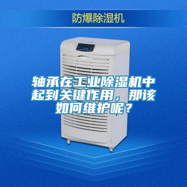 軸承在工業除濕機中起到關鍵作用，那該如何維護呢？