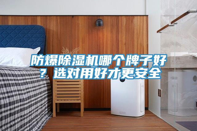 防爆除濕機(jī)哪個(gè)牌子好？選對(duì)用好才更安全