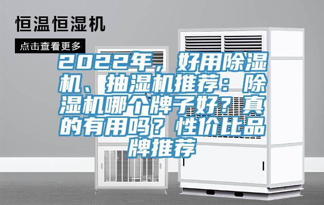 2022年，好用除濕機、抽濕機推薦：除濕機哪個牌子好？真的有用嗎？性價比品牌推薦